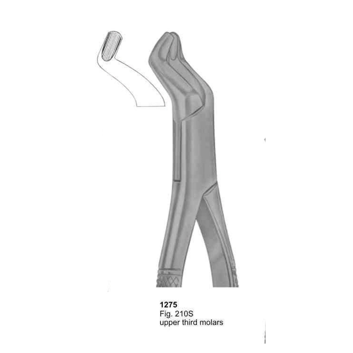 Extracting Forceps (American Pattern)