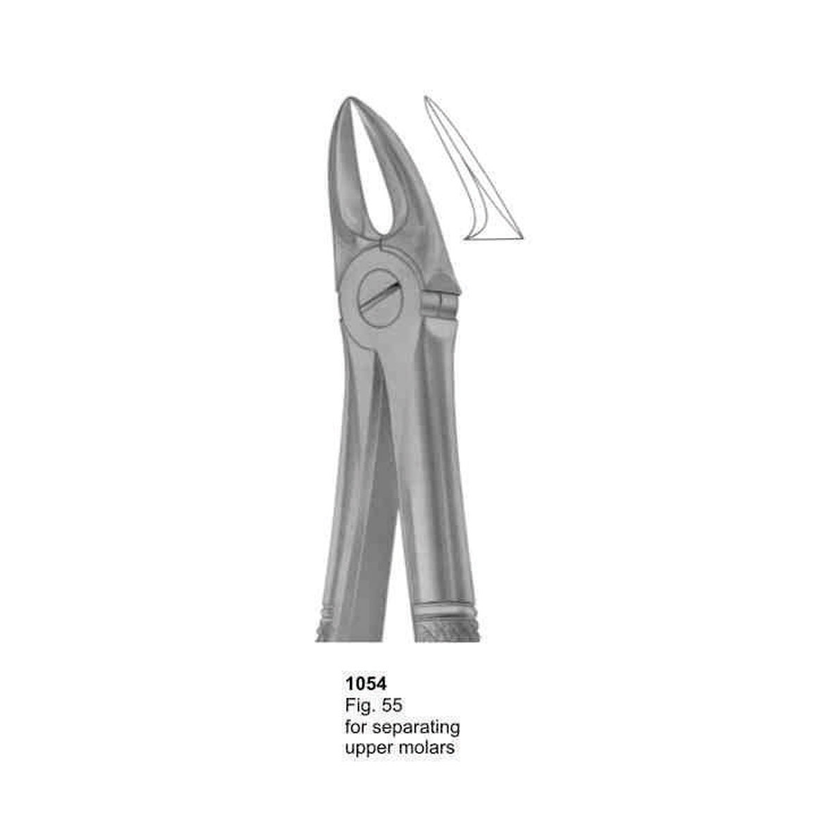 Extracting Forceps (English Pattern)