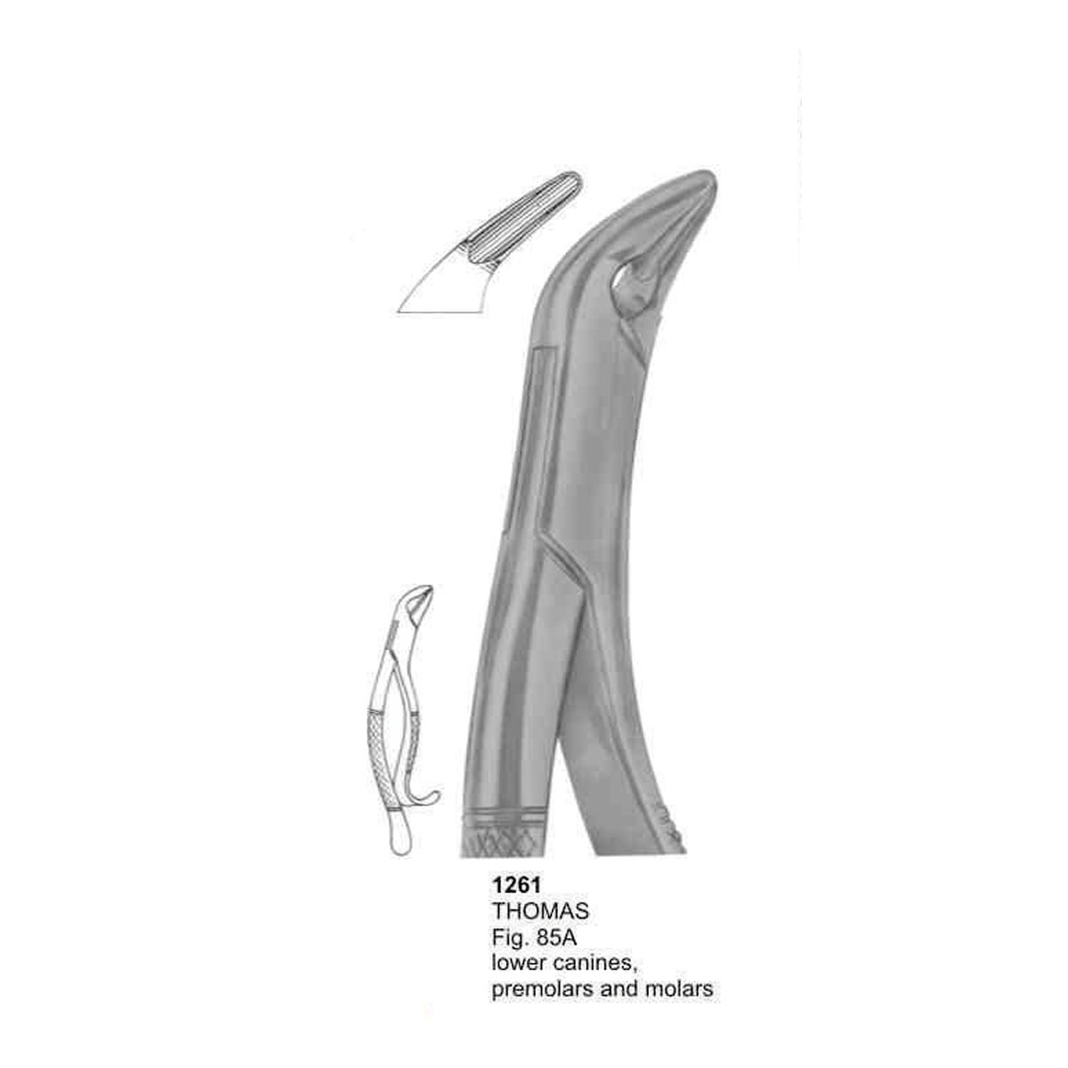 Extracting Forceps (American Pattern) 