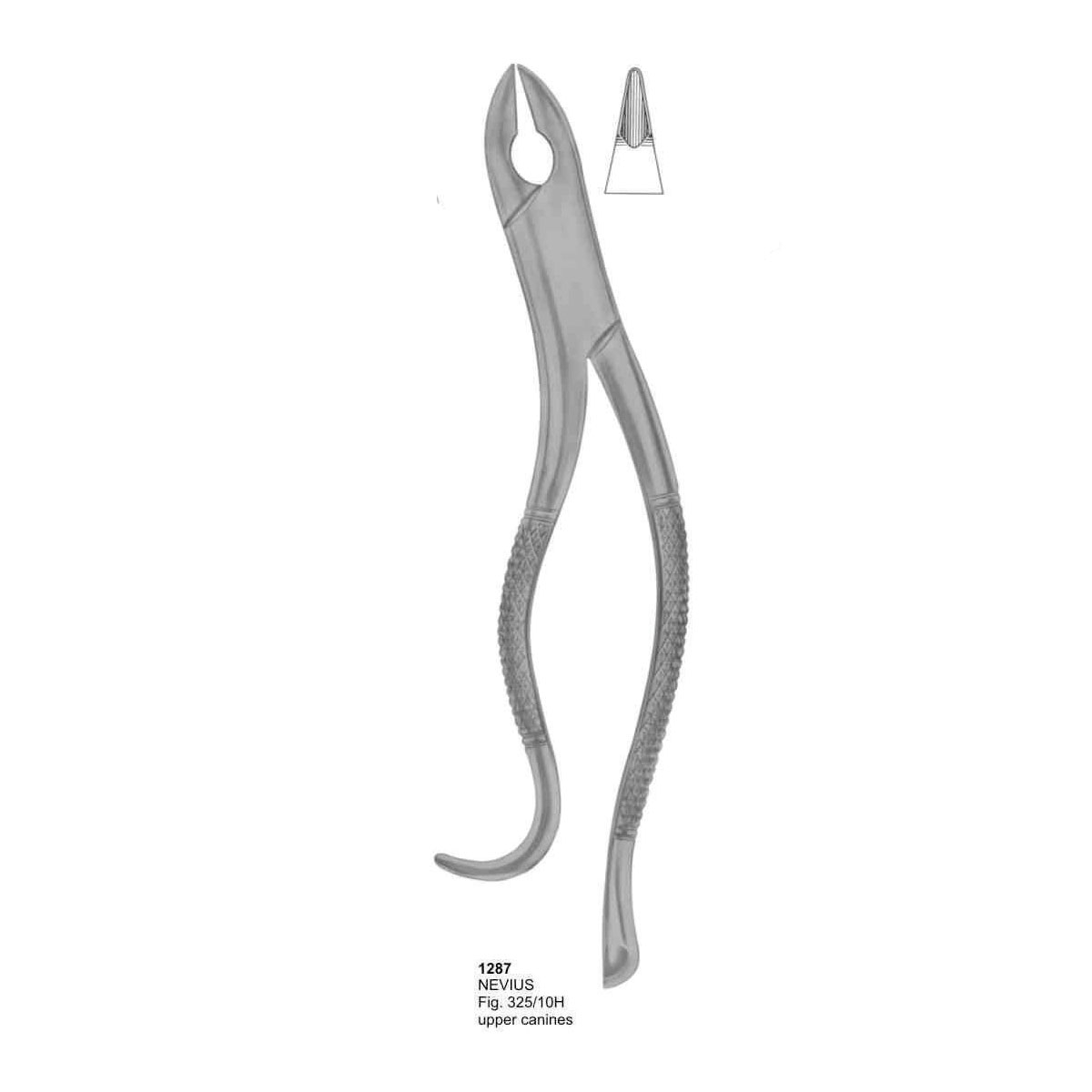 Extracting Forceps (American Pattern)