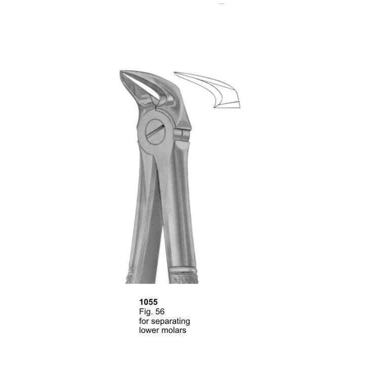 Extracting Forceps (English Pattern)