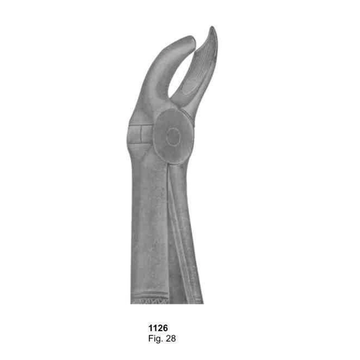 Extracting Forceps (English Pattern)