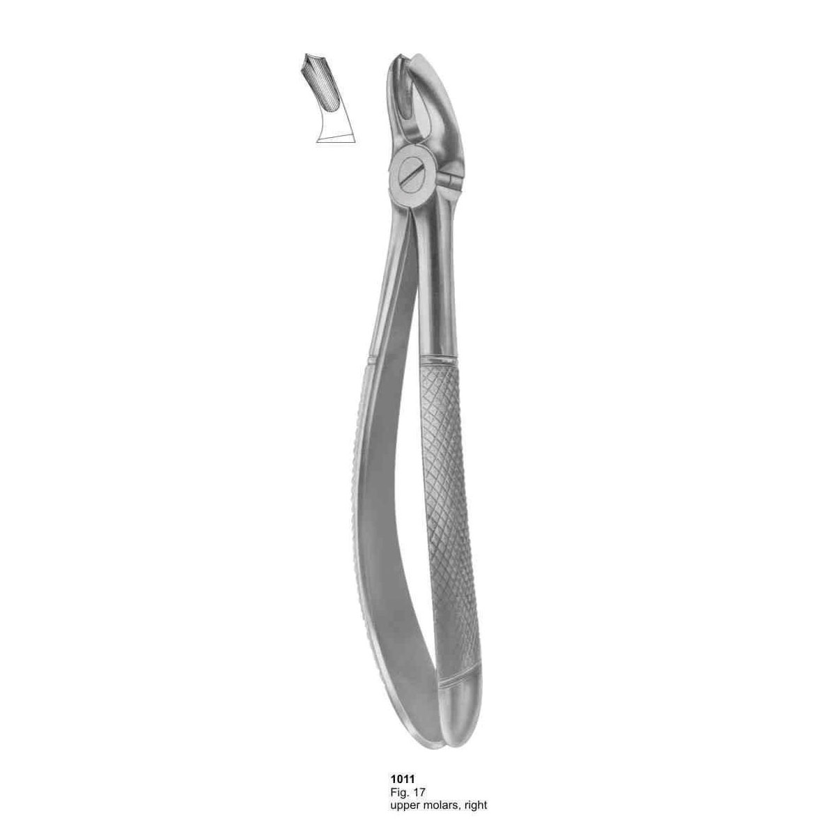 Extracting Forceps (English Pattern)