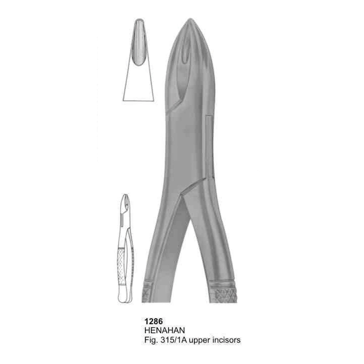 Extracting Forceps (American Pattern)