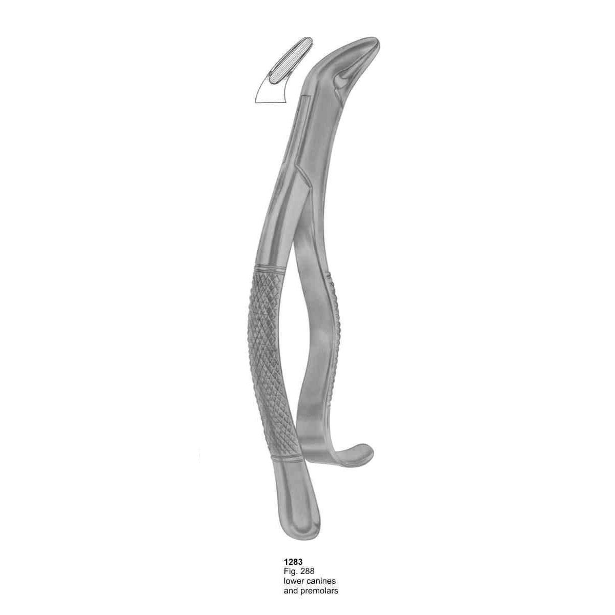 Extracting Forceps (American Pattern)