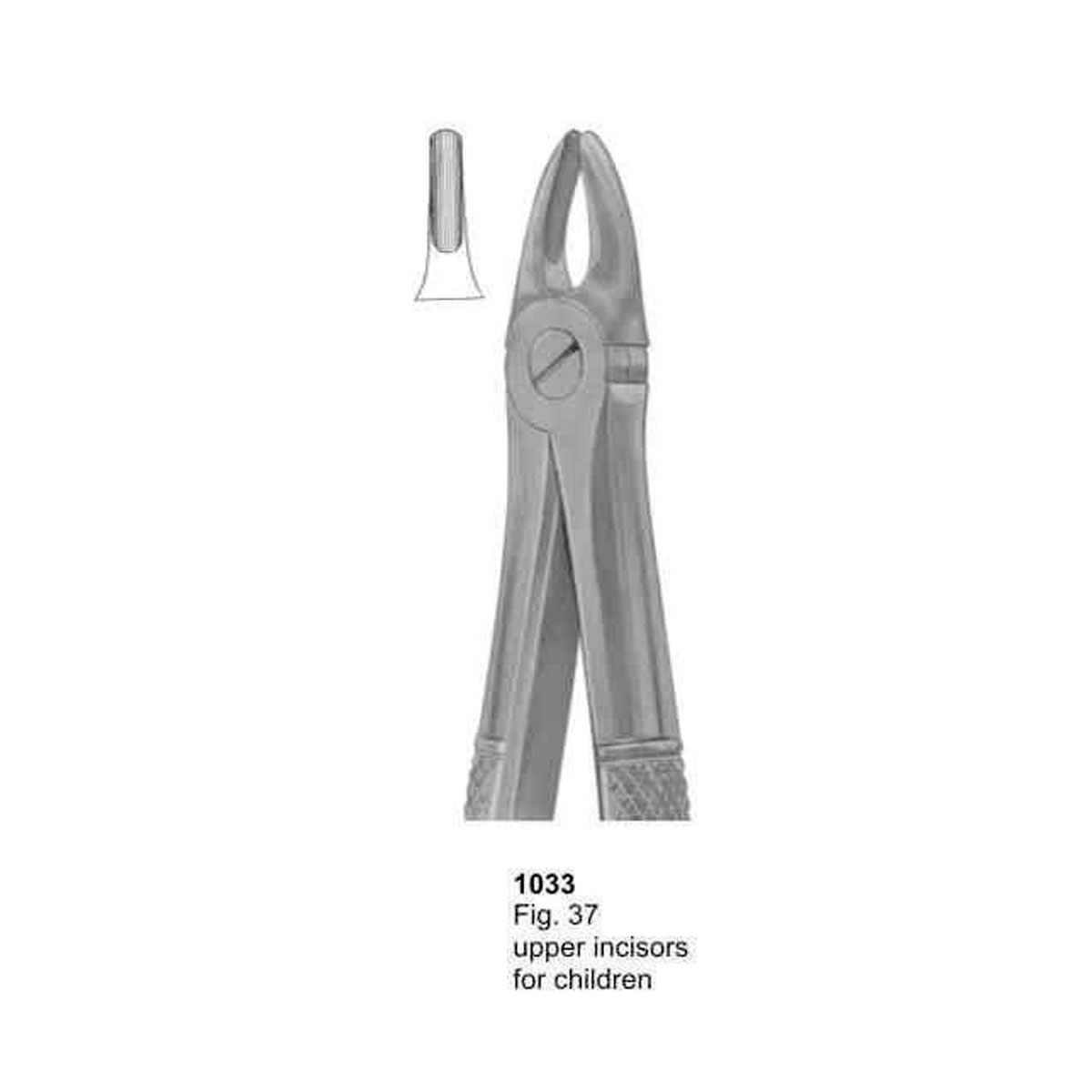 Extracting Forceps (English Pattern)