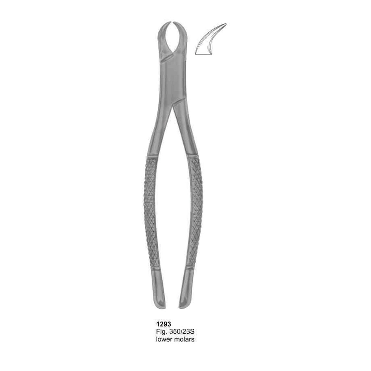 Extracting Forceps (American Pattern)