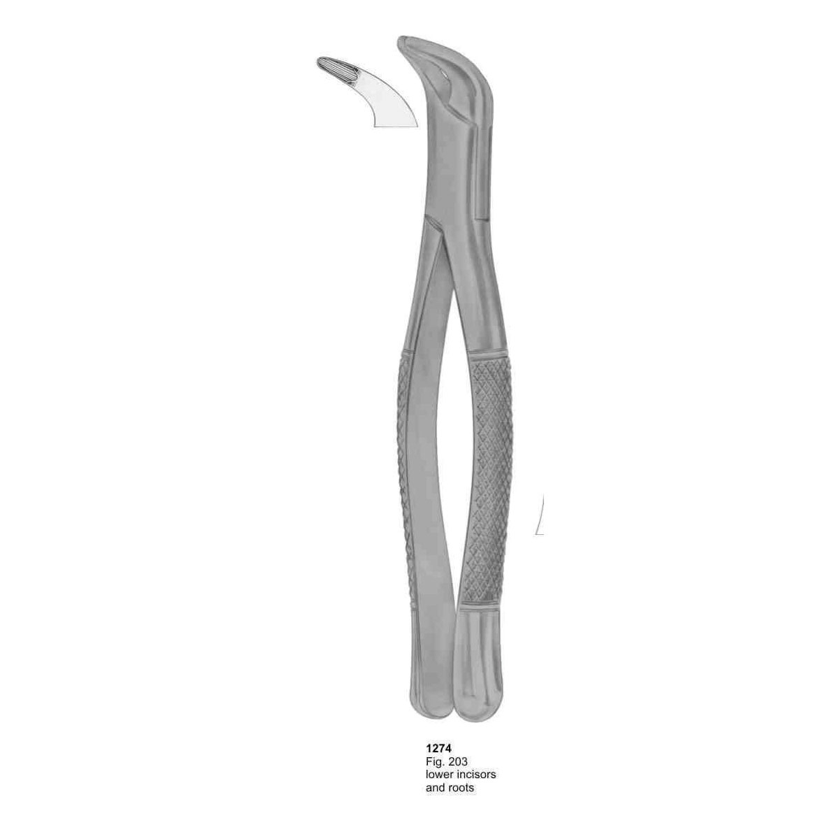 Extracting Forceps (American Pattern)