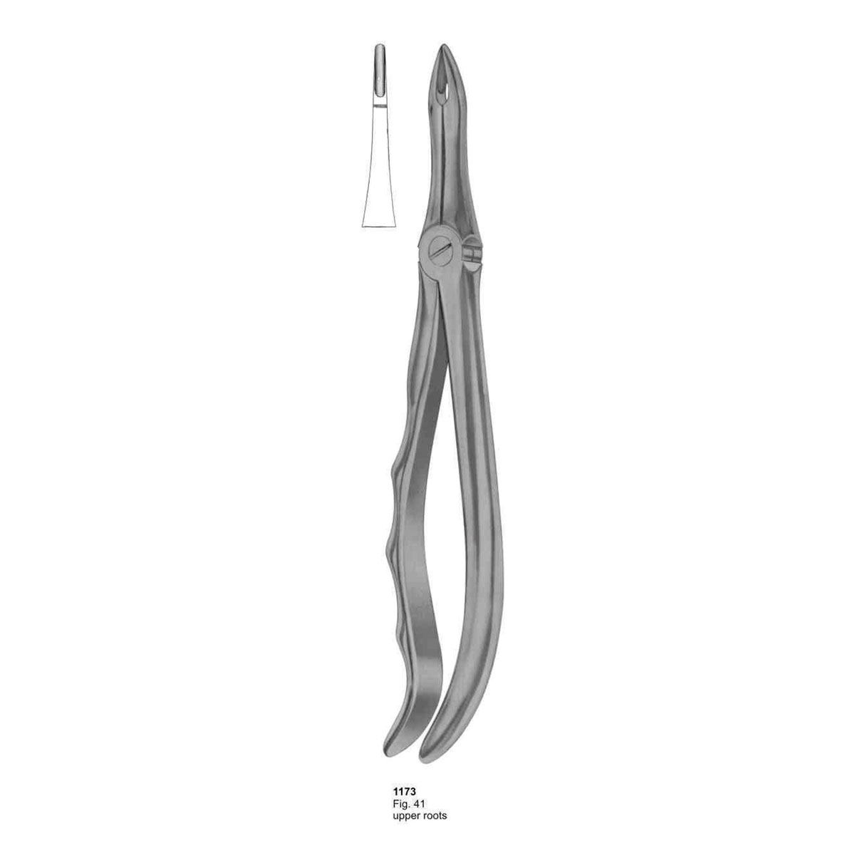 Extracting Forceps (With Fitting Handle)