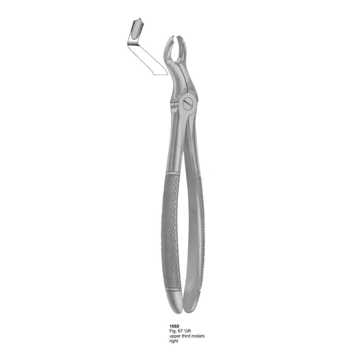 Extracting Forceps (English Pattern)