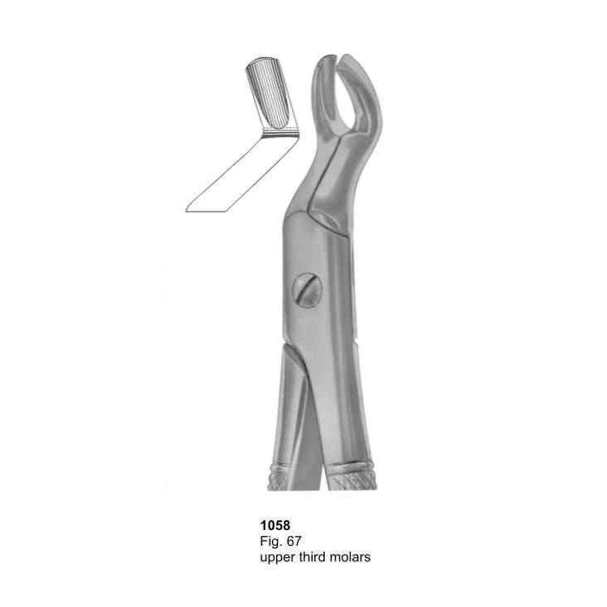 Extracting Forceps (English Pattern)