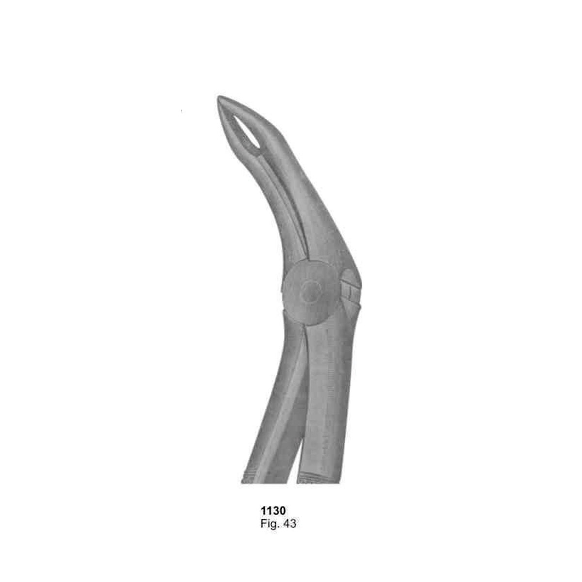 Extracting Forceps (English Pattern)