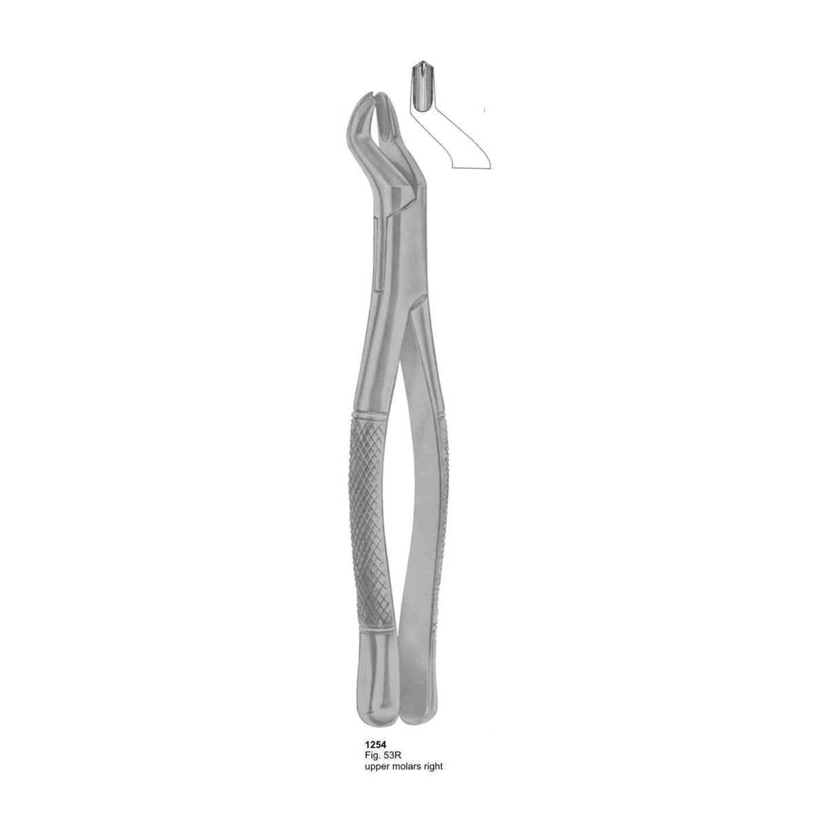 Extracting Forceps (American Pattern) 