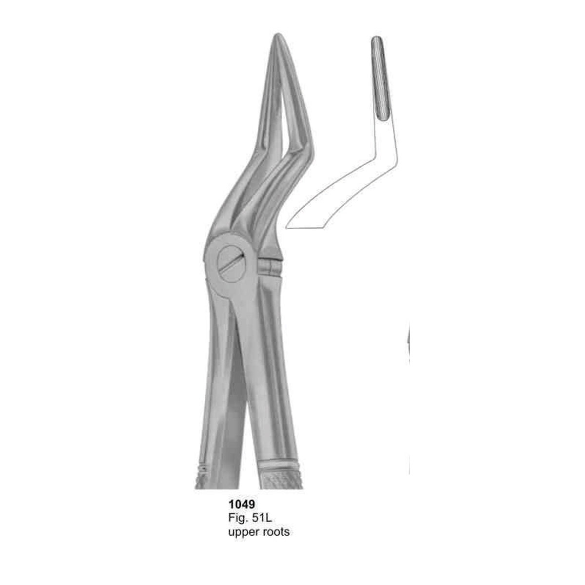 Extracting Forceps (English Pattern)