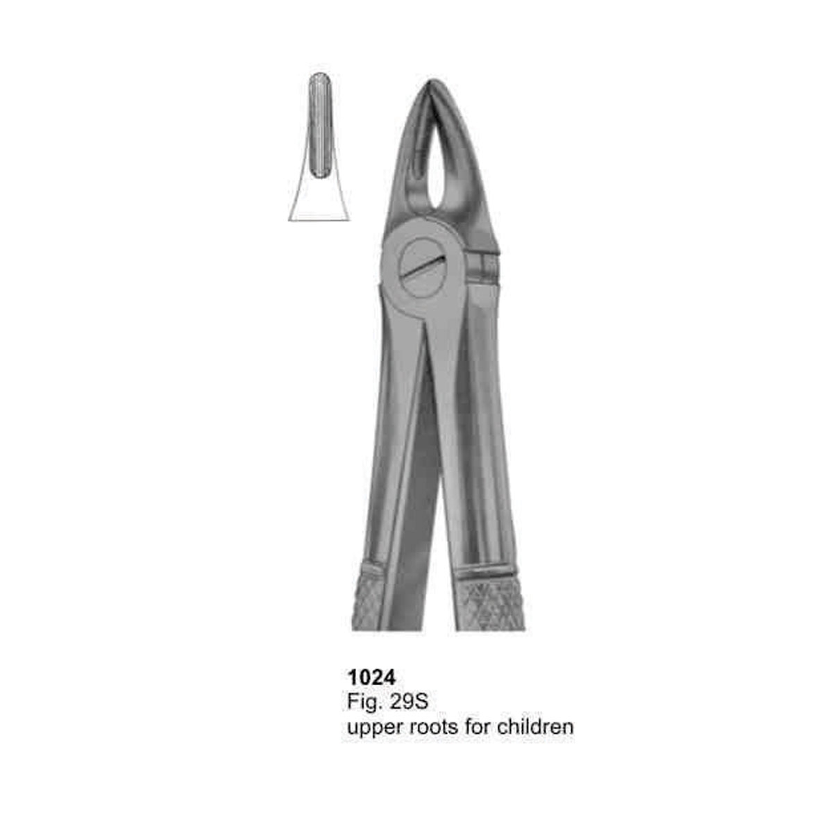 Extracting Forceps (English Pattern)