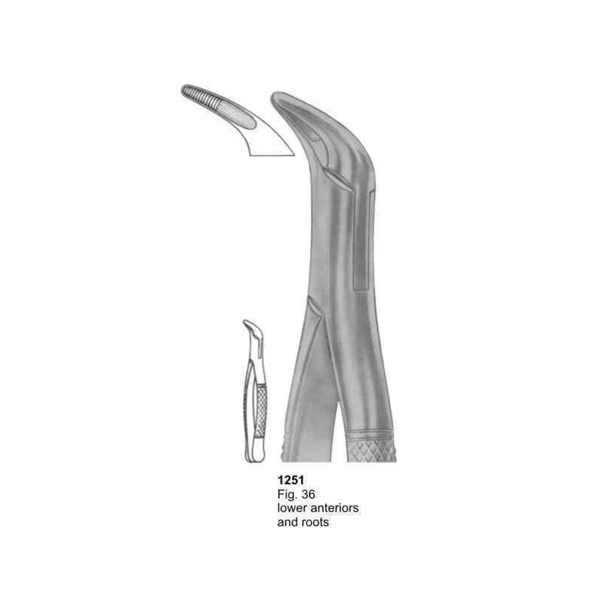 Extracting Forceps (American Pattern)  