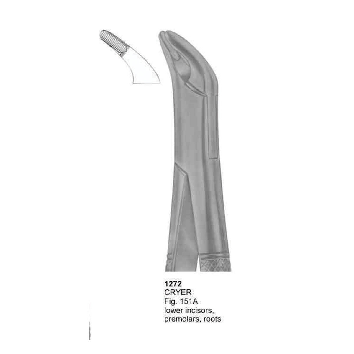 Extracting Forceps (American Pattern) 