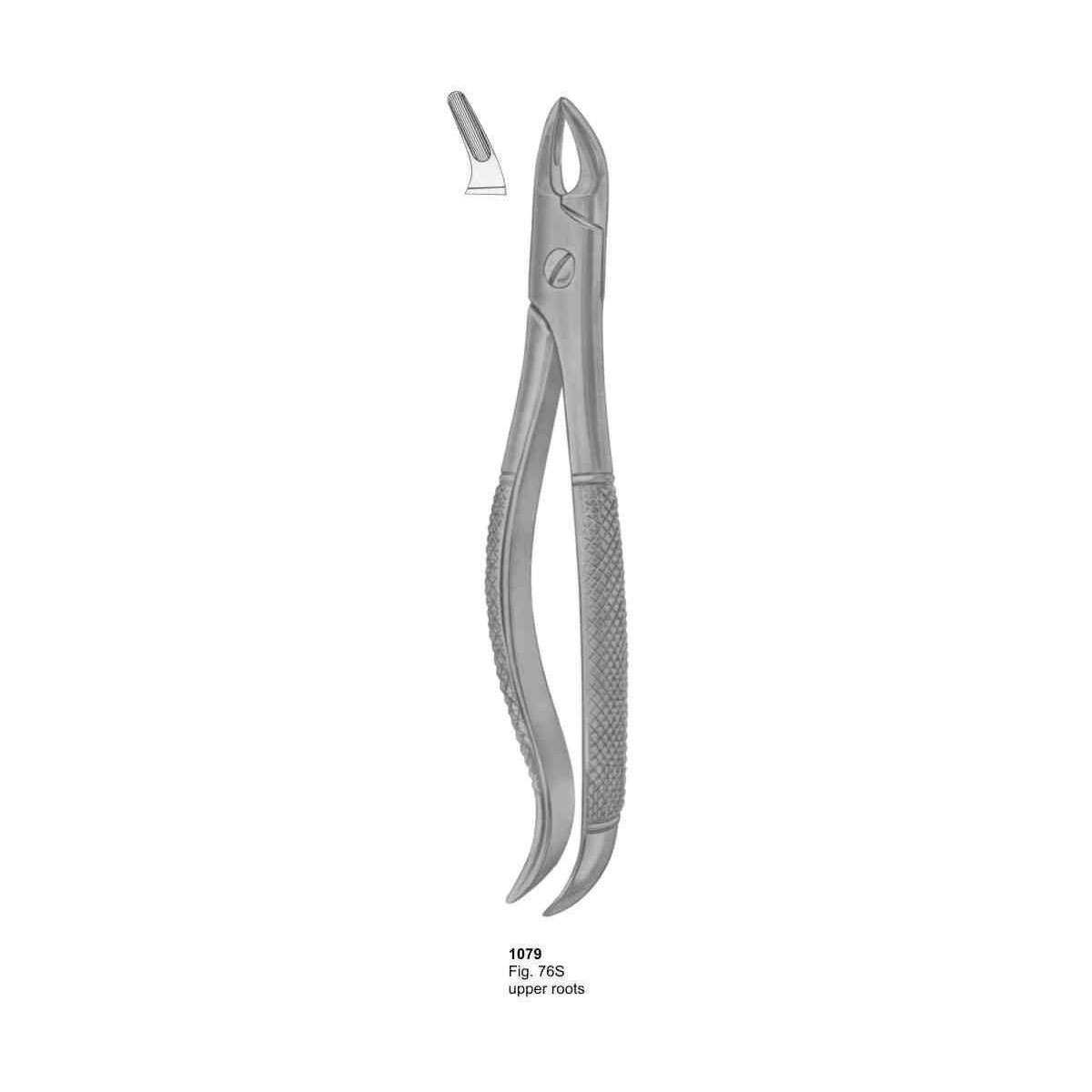 Extracting Forceps (English Pattern)