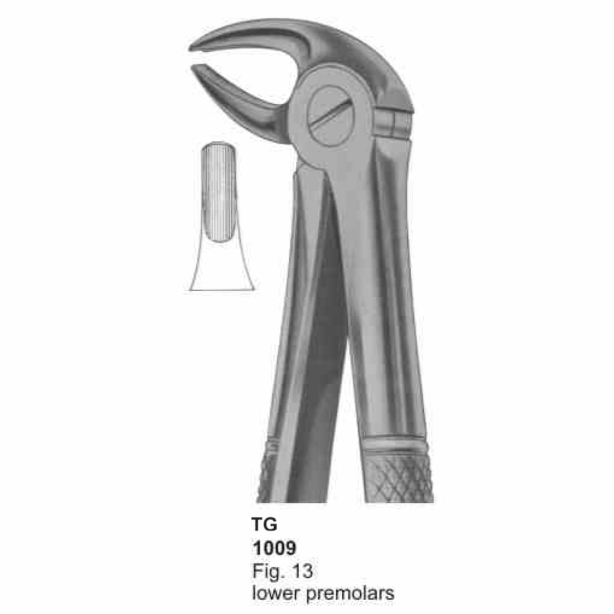 Extracting Forceps (English Pattern)