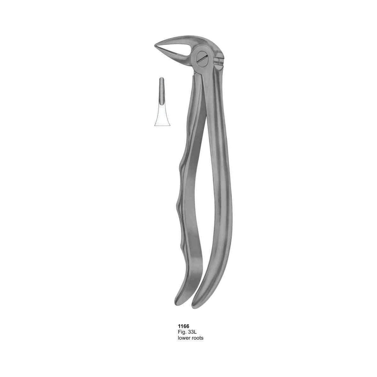 Extracting Forceps (With Fitting Handle)