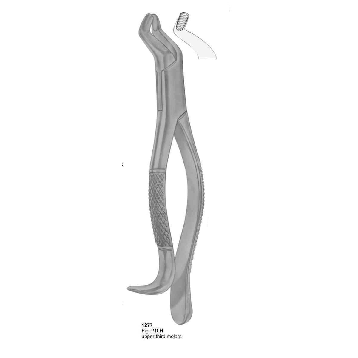 Extracting Forceps (American Pattern)