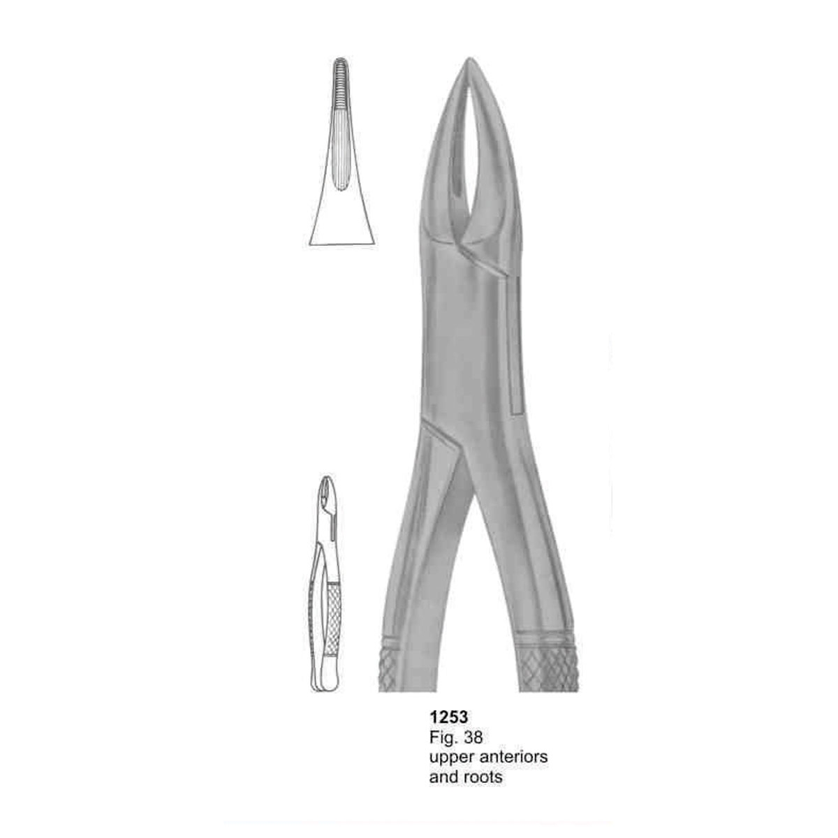 Extracting Forceps (American Pattern) 