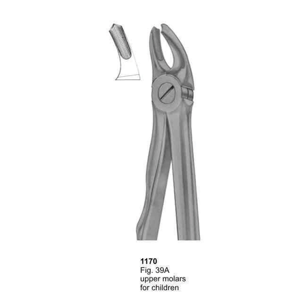 Extracting Forceps (With Fitting Handle)