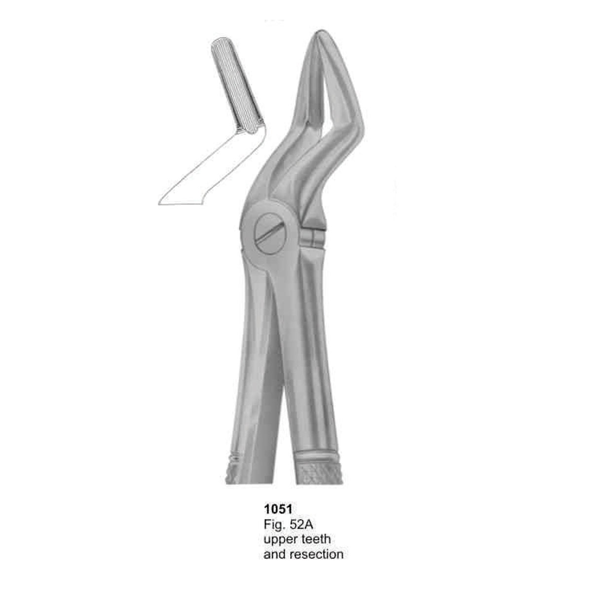 Extracting Forceps (English Pattern)