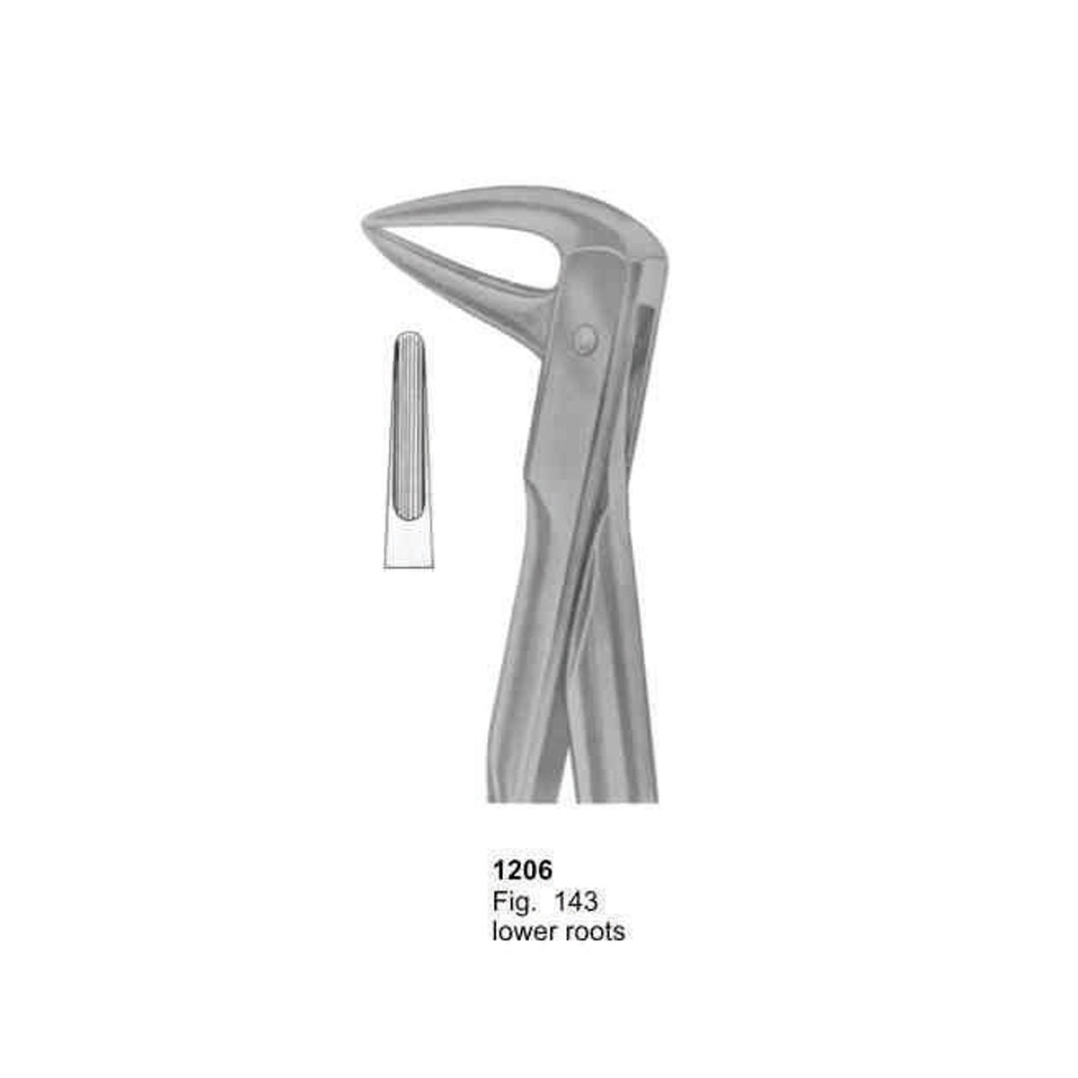 Extracting Forceps (With Fitting Handle)