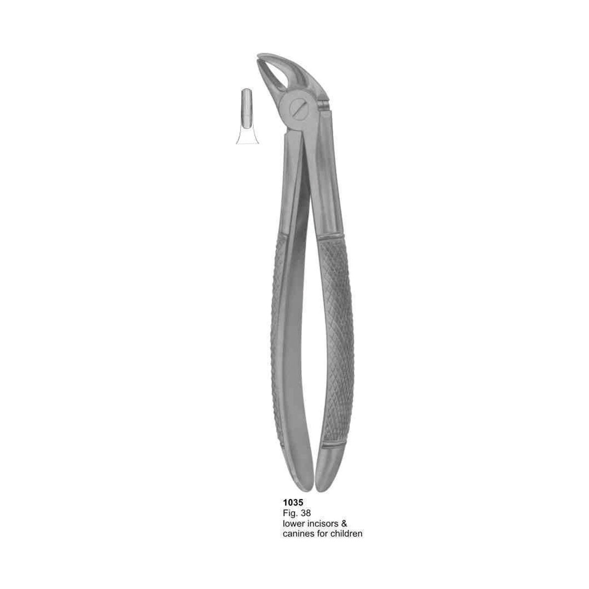 Extracting Forceps (English Pattern)