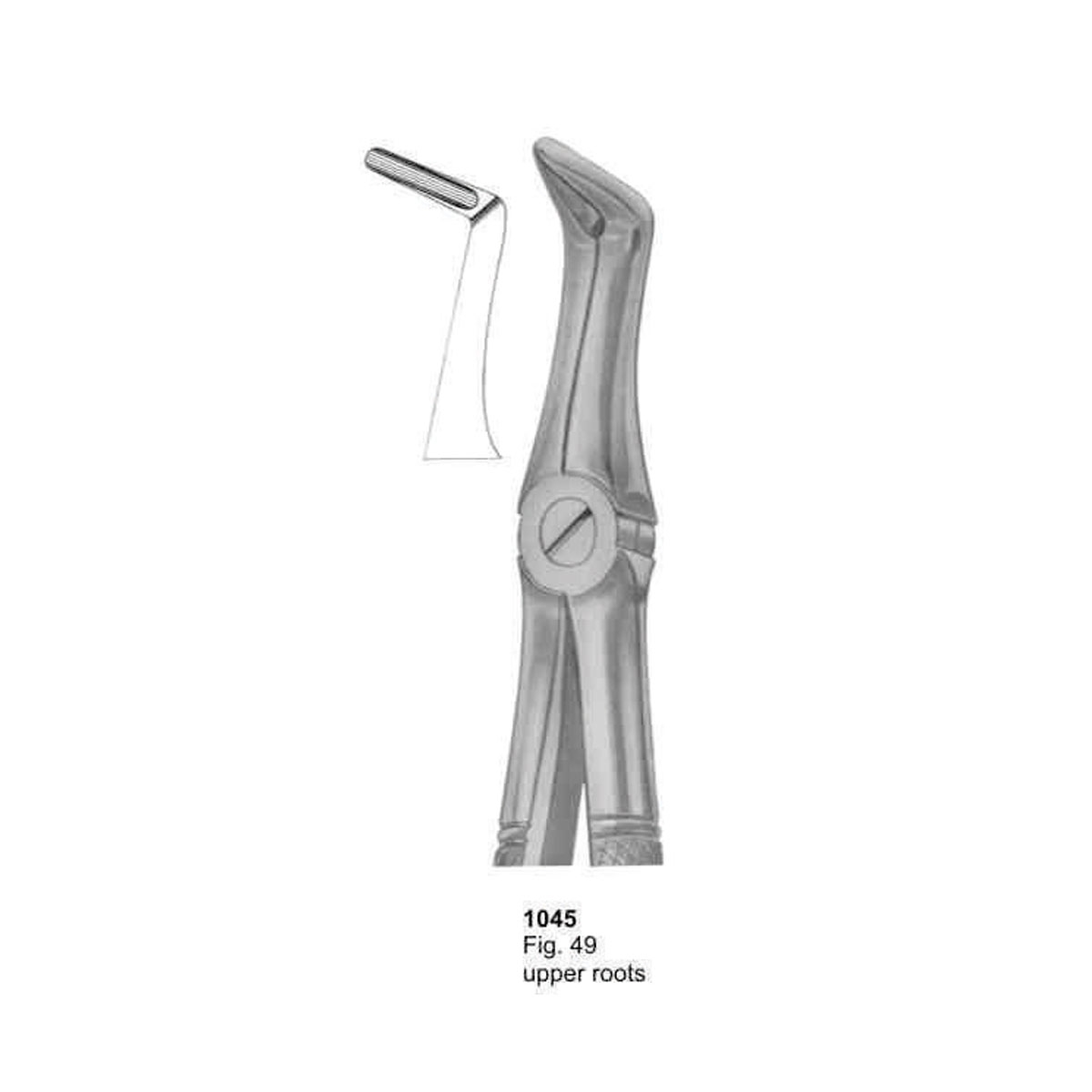 Extracting Forceps (English Pattern) 