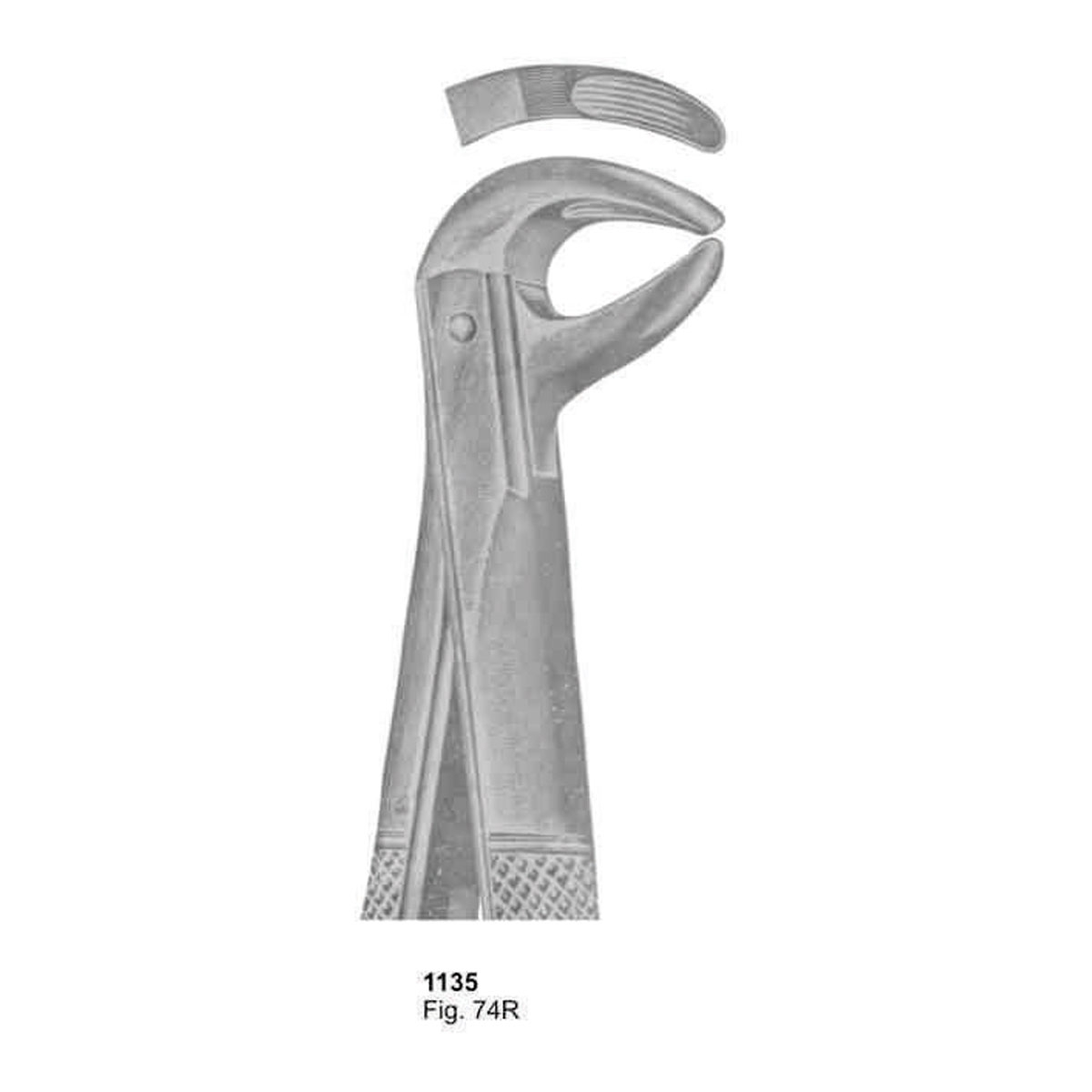 Extracting Forceps (English Pattern)