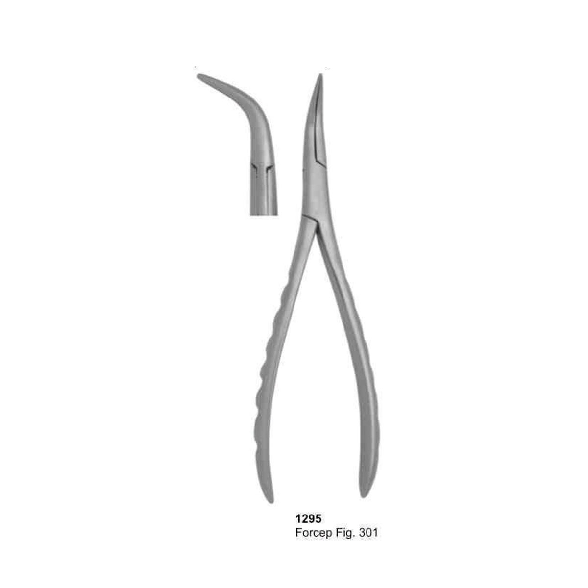 Extracting Forceps (American Pattern)