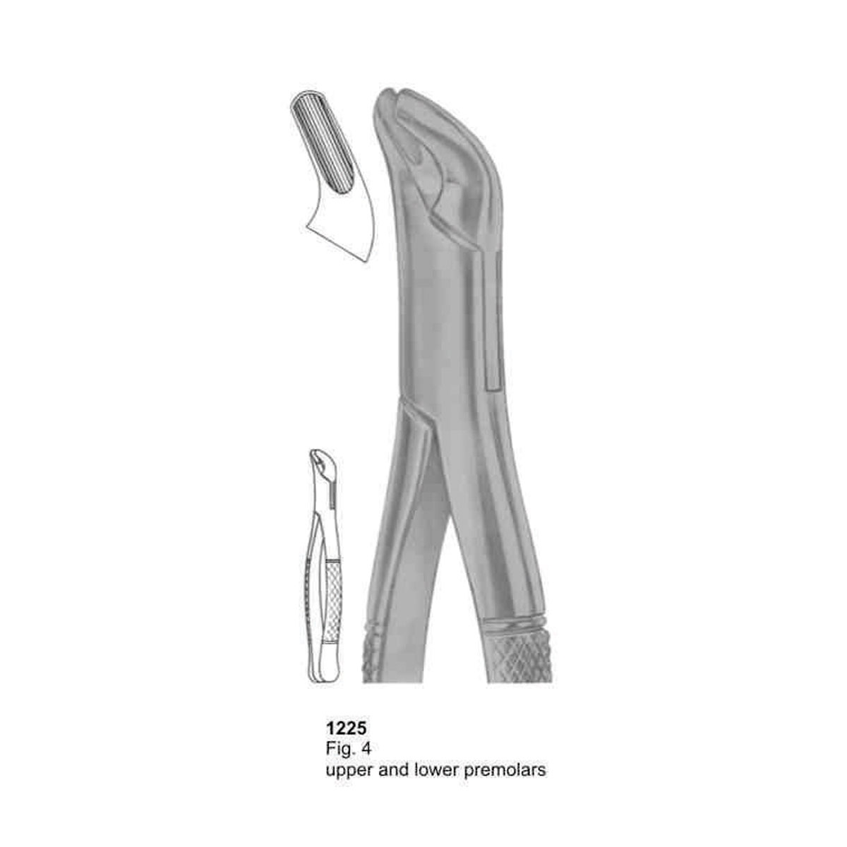 Extracting Forceps (American Pattern)