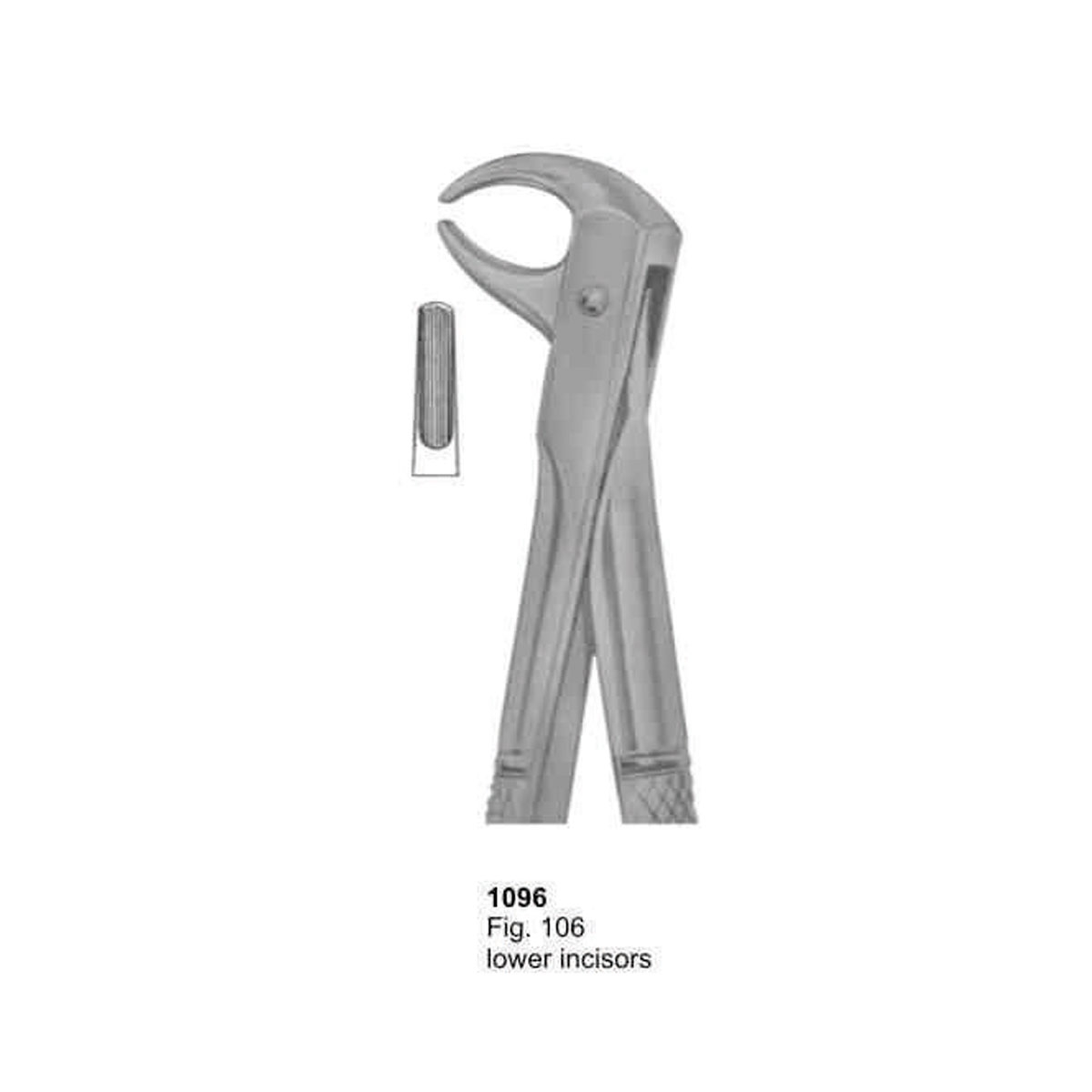 Extracting Forceps (English Pattern)