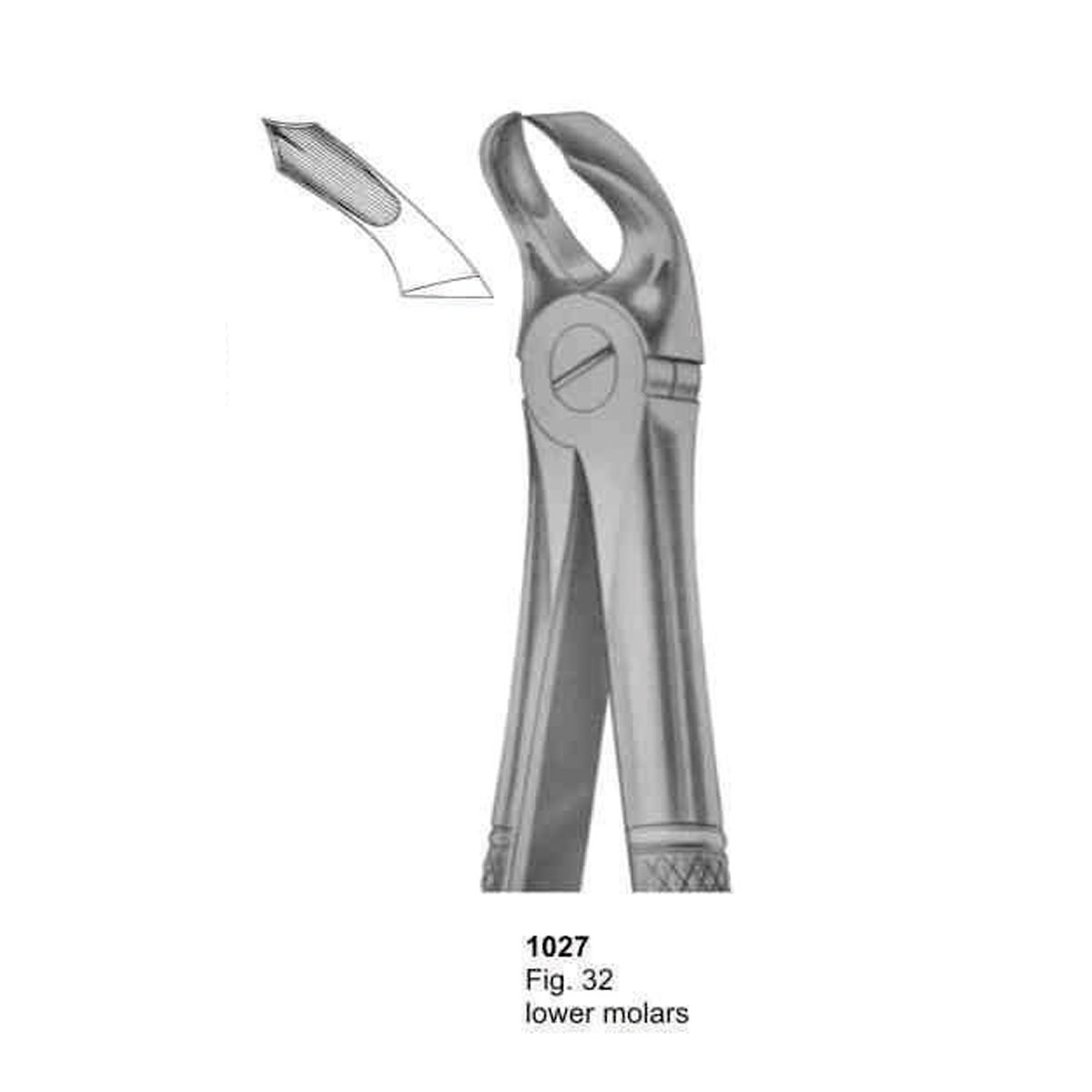 Extracting Forceps (English Pattern)