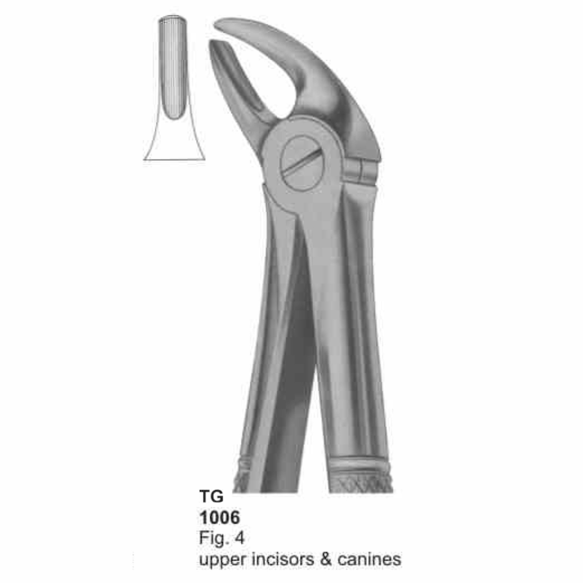 Extracting Forceps (English Pattern)