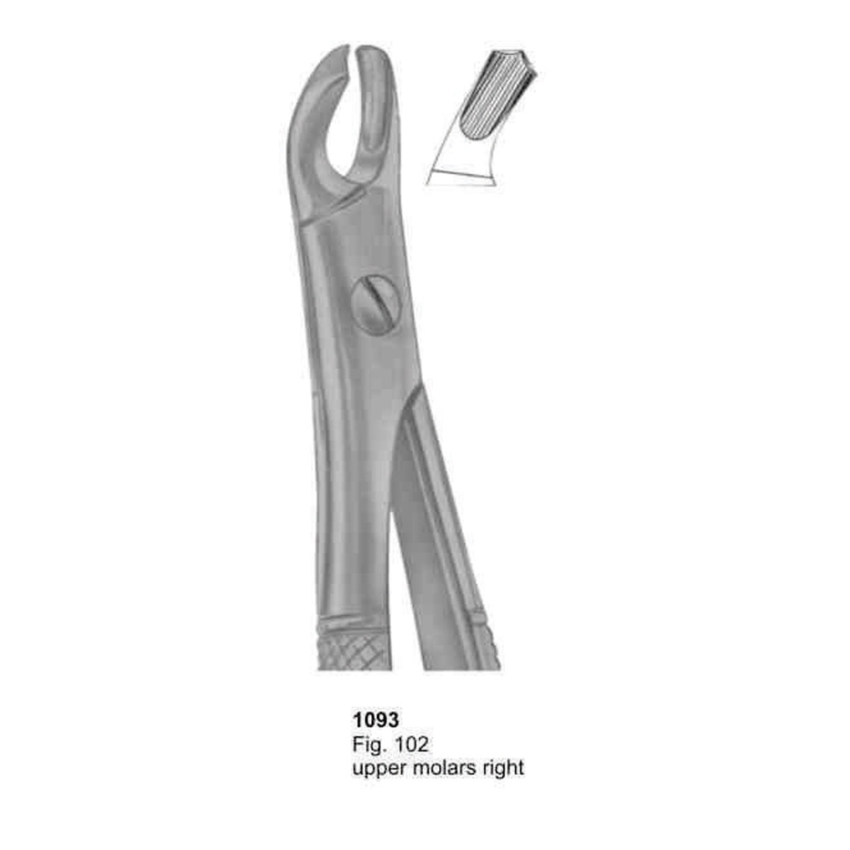 Extracting Forceps (English Pattern)