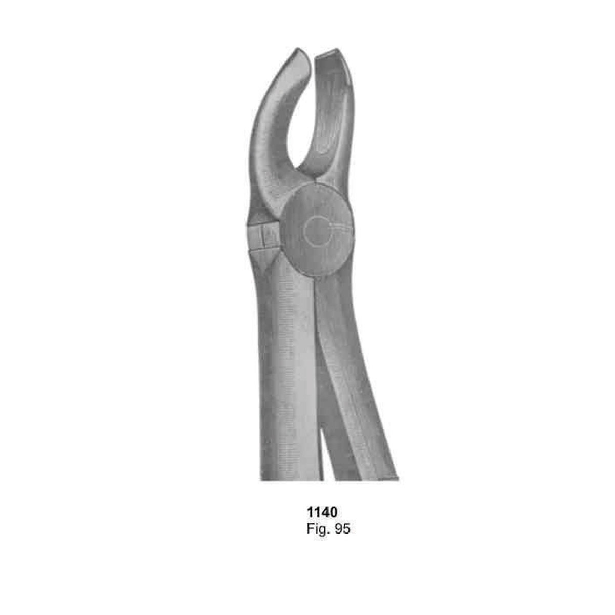 Extracting Forceps (English Pattern)