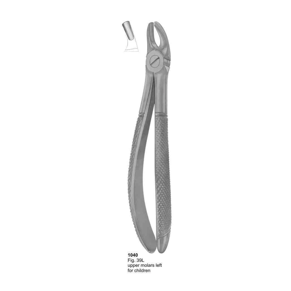 Extracting Forceps (English Pattern)