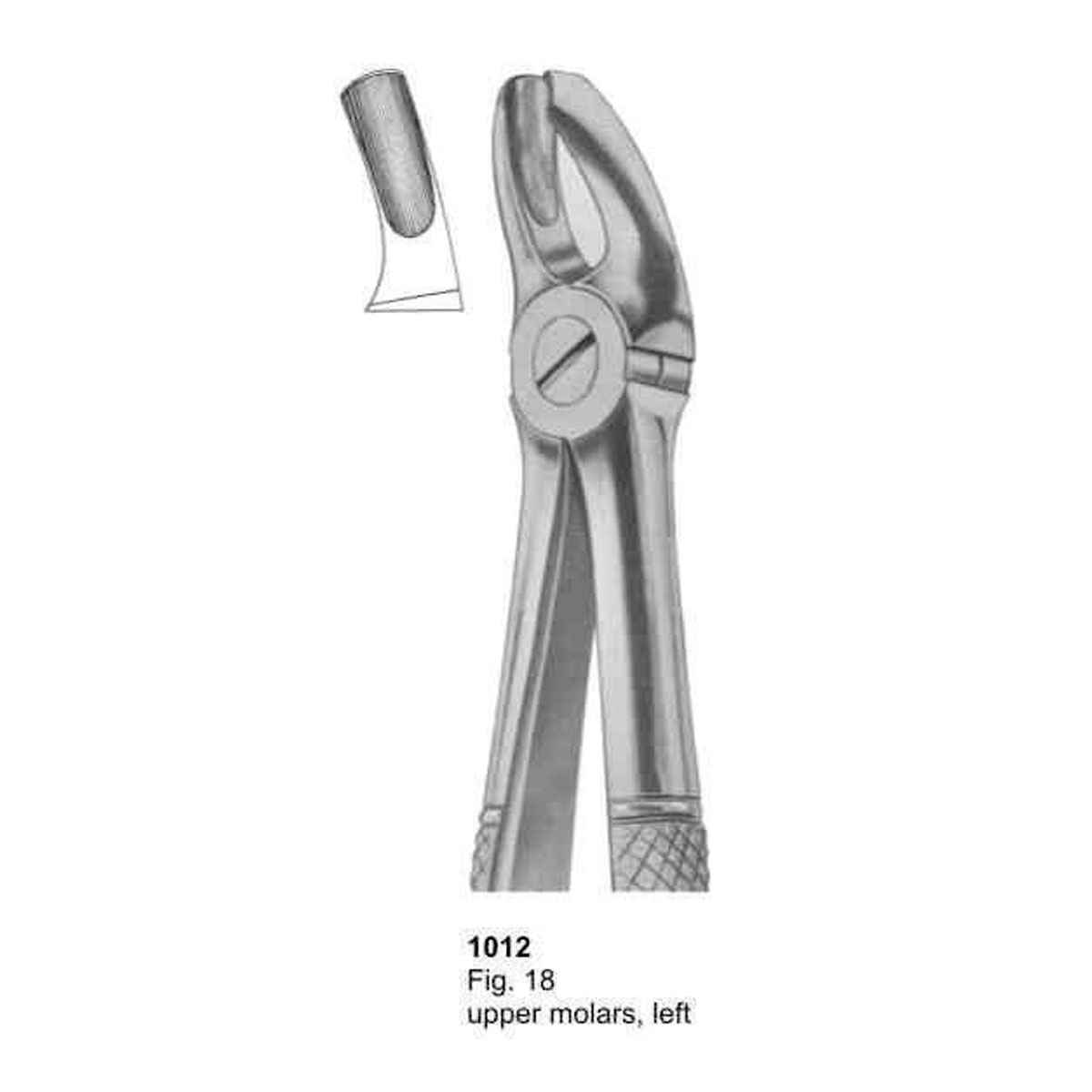 Extracting Forceps (English Pattern)