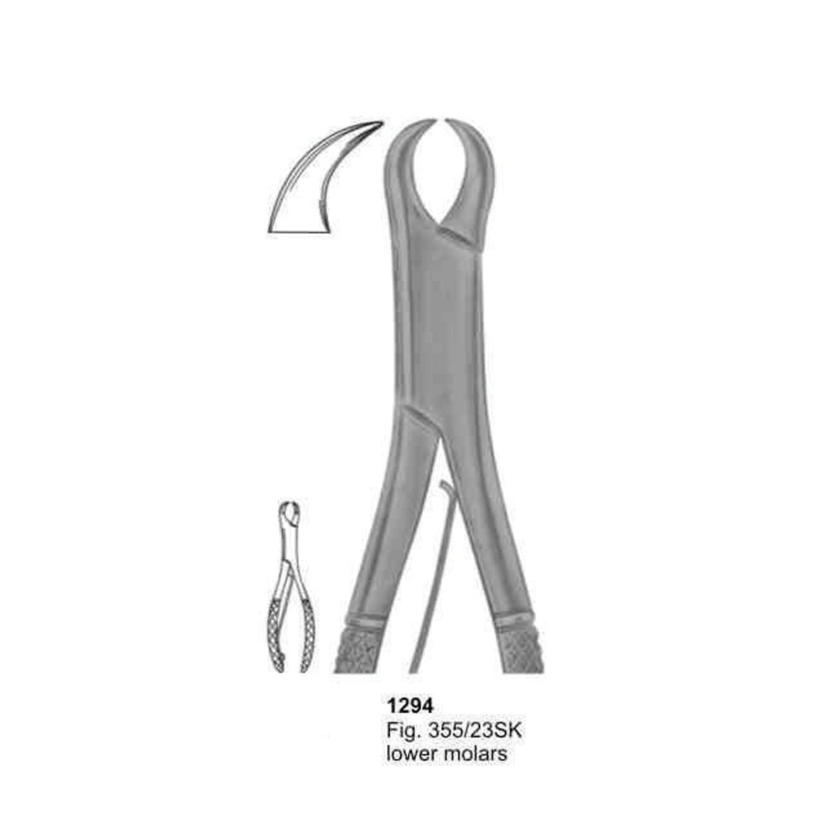 Extracting Forceps (American Pattern)