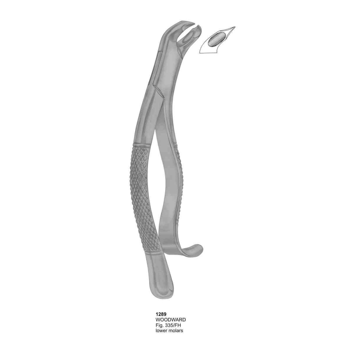 Extracting Forceps (American Pattern)