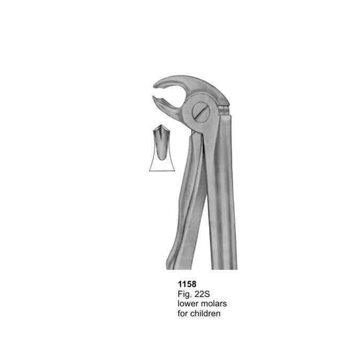 Extracting Forceps (With Fitting Handle)