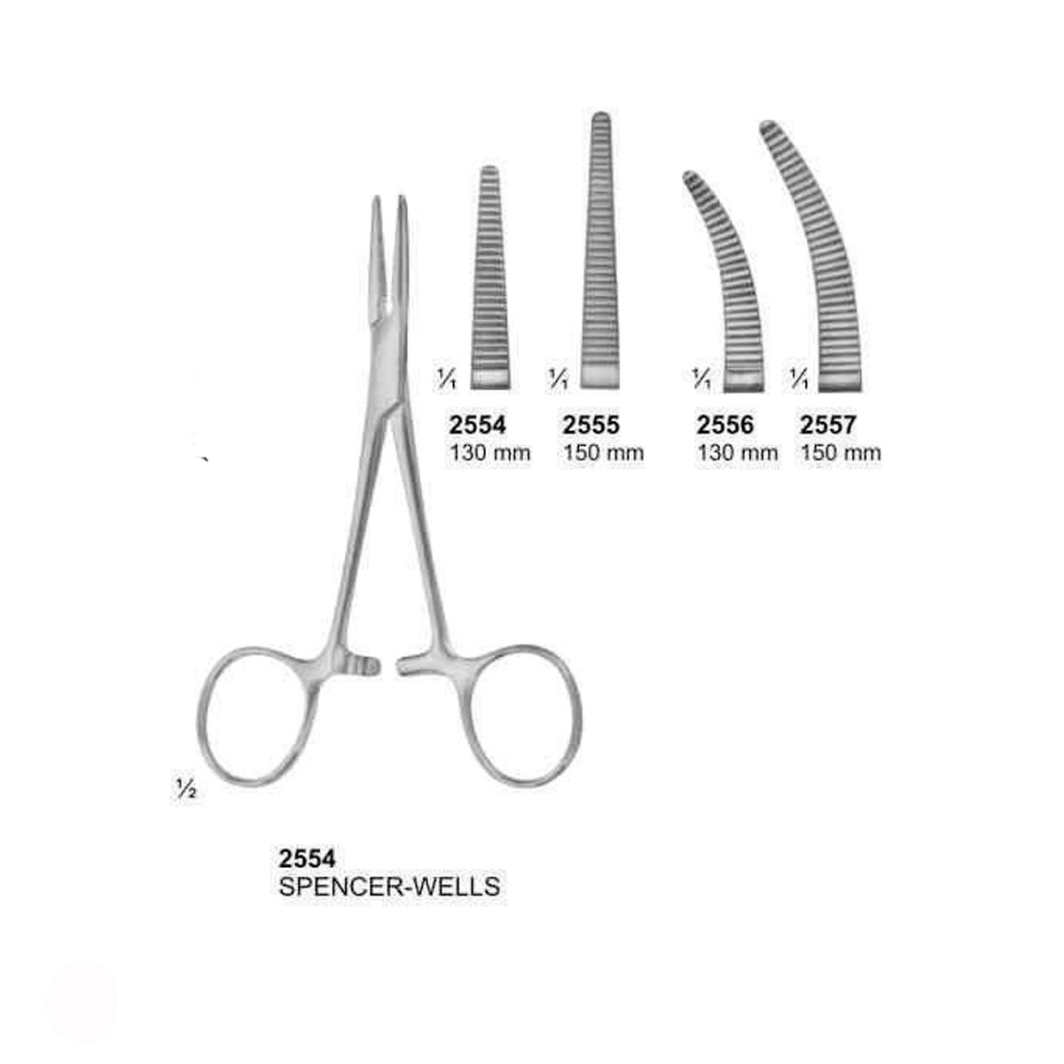 Endodontic Forceps