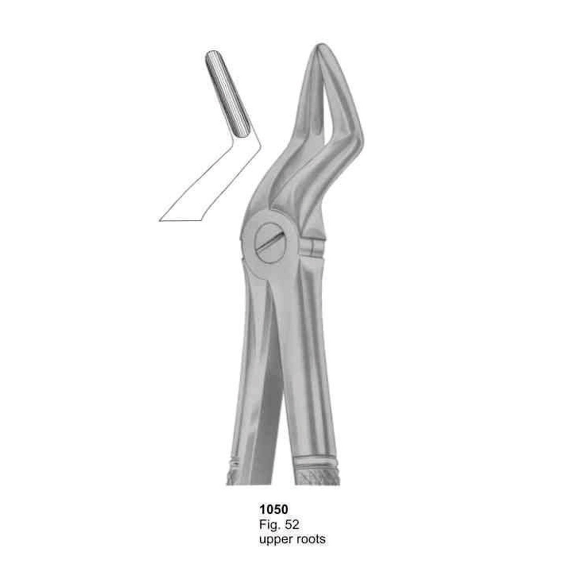 Extracting Forceps (English Pattern)