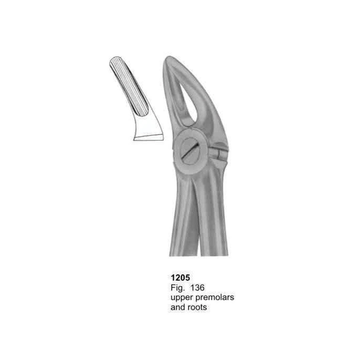 Extracting Forceps (With Fitting Handle)