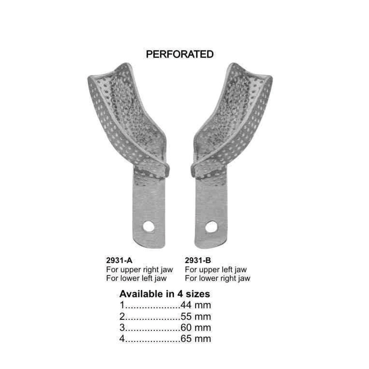 Impression Trays