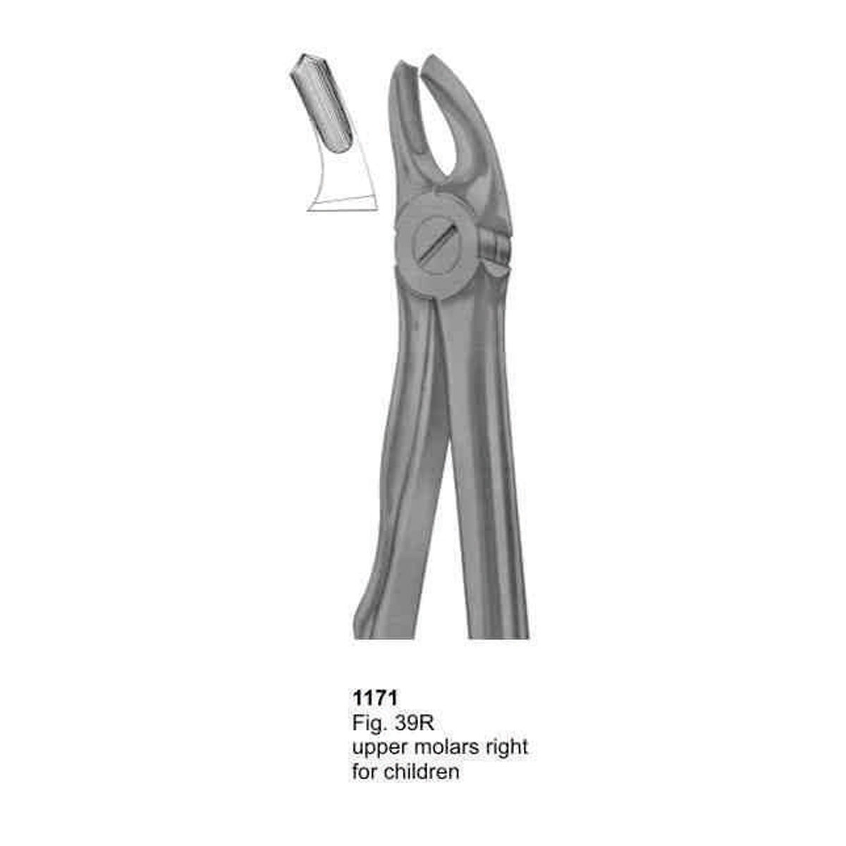 Extracting Forceps (With Fitting Handle)