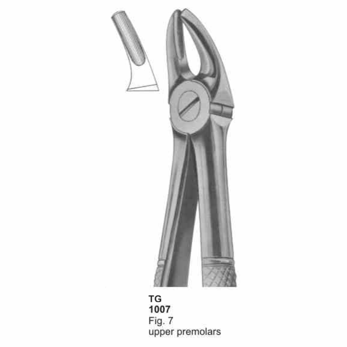 Extracting Forceps (English Pattern)